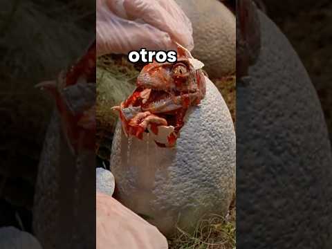 🤔THE JURASSIC PARK DETAIL YOU NEVER SEEN