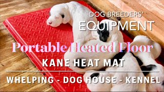 How to Prevent Swimmers Syndrome Flat Chest 2 Week Old Puppy Floor Set-Up | Heat Mat, Traction Dogs