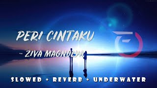 Download lagu Peri Cintaku - Ziva Magnolya ( Slowed   Reverb   Underwater ) mp3
