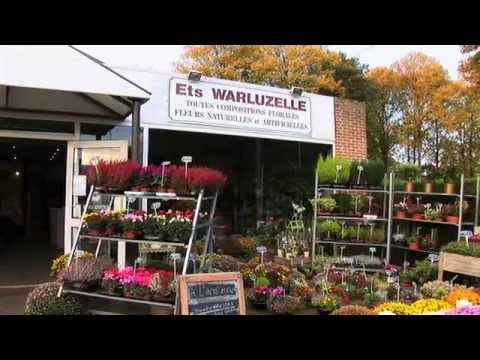 download lagu mp3 mp4 Pompes Funebres Amiens, download lagu Pompes Funebres Amiens gratis, unduh video klip Pompes Funebres Amiens