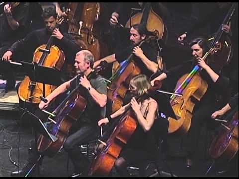 Banda blindagem - Gaivota