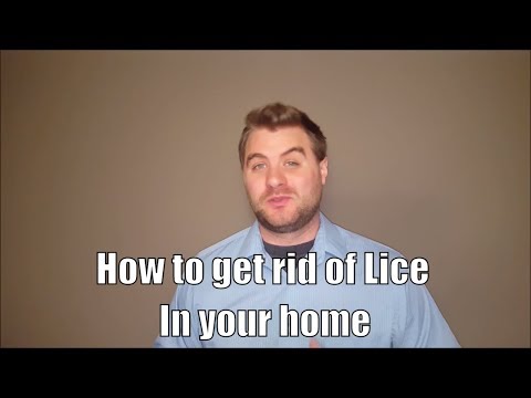 How To Get Rid Of Lice In Your Home