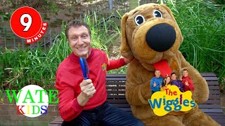 Brush your Pet's Hair + More | Songs for Kids | The Wiggles | WATE Kids