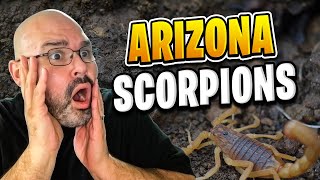 Arizona Scorpions