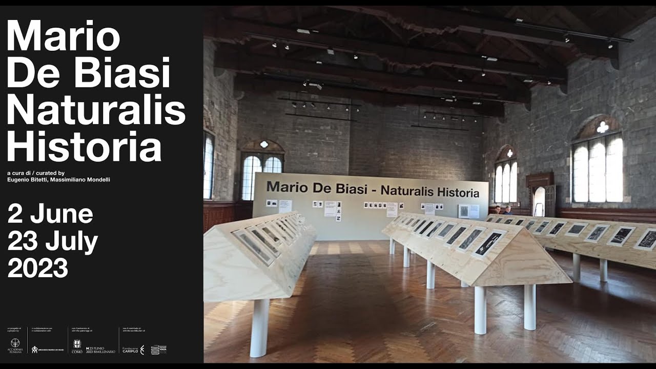 Mario De Biasi come Plinio nell’osservazione minuziosa della natura. I curatori raccontano la mostra Naturalis Historia