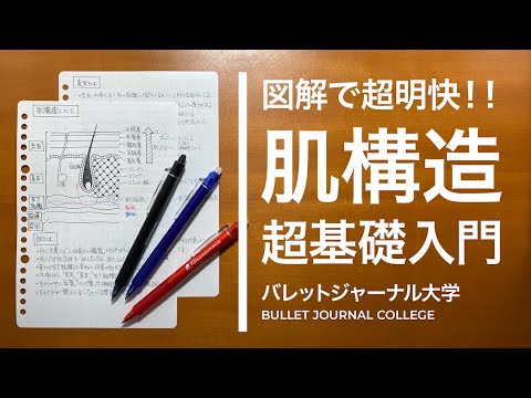 Nuvola アプリ kpercentage.png