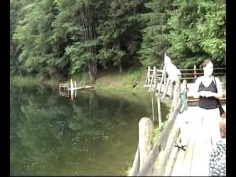 A Szinevéri tónál