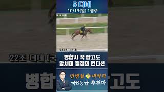 [서울 경마] 민병철 대박픽 2025년 10월 19일 일요 1R 첫번째 추천마 #경마 #하이라이트 #한국마사회 #고배당 #검빛 #코리아