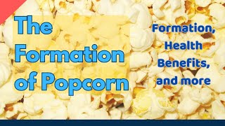 How is Popcorn Made? Is it Risky or Healthy? #popcorn #health #healthrisks #nutritiontips #risks