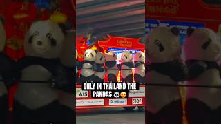 Download lagu Only in Thailand the Pandas…. Part2 #shorts #bangkok #funny mp3