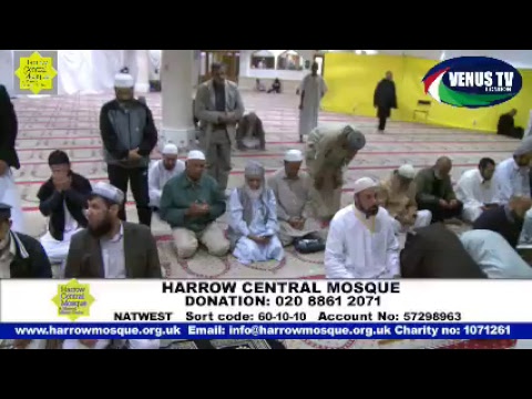 Venus TV London Live Stream