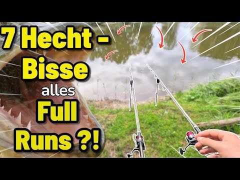 Unfassbarer Angeltag! 🎣 7 Hecht-Bisse auf Köderfisch | Full Runs wie beim Karpfenangeln 🔥
