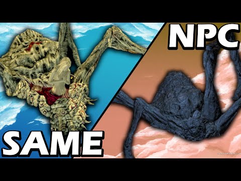 Connections Between DS1 and DS3