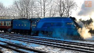 preview picture of video 'Incidental spotting: A4 Class (60019/4464- Bittern) LNER, Lincoln, 30th December, 2014'