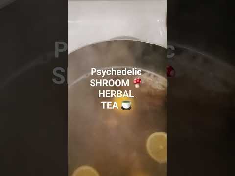 Psychedelic Shroom Herbal Tea in the Trap