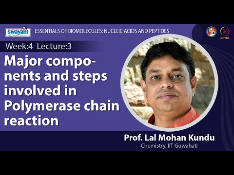 Essentials of Biomolecules Nucleic Acids and Peptides