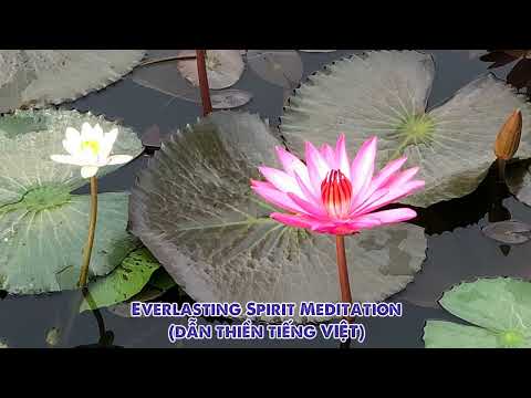 Everlasting Spirit Meditation I Lời Dẫn Thiền (Tiếng Việt)
