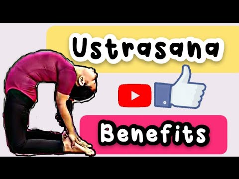 How to do Ustrasana || Benefits || Precautions