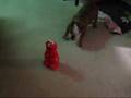 Bulldog And Tickle Me Elmo
