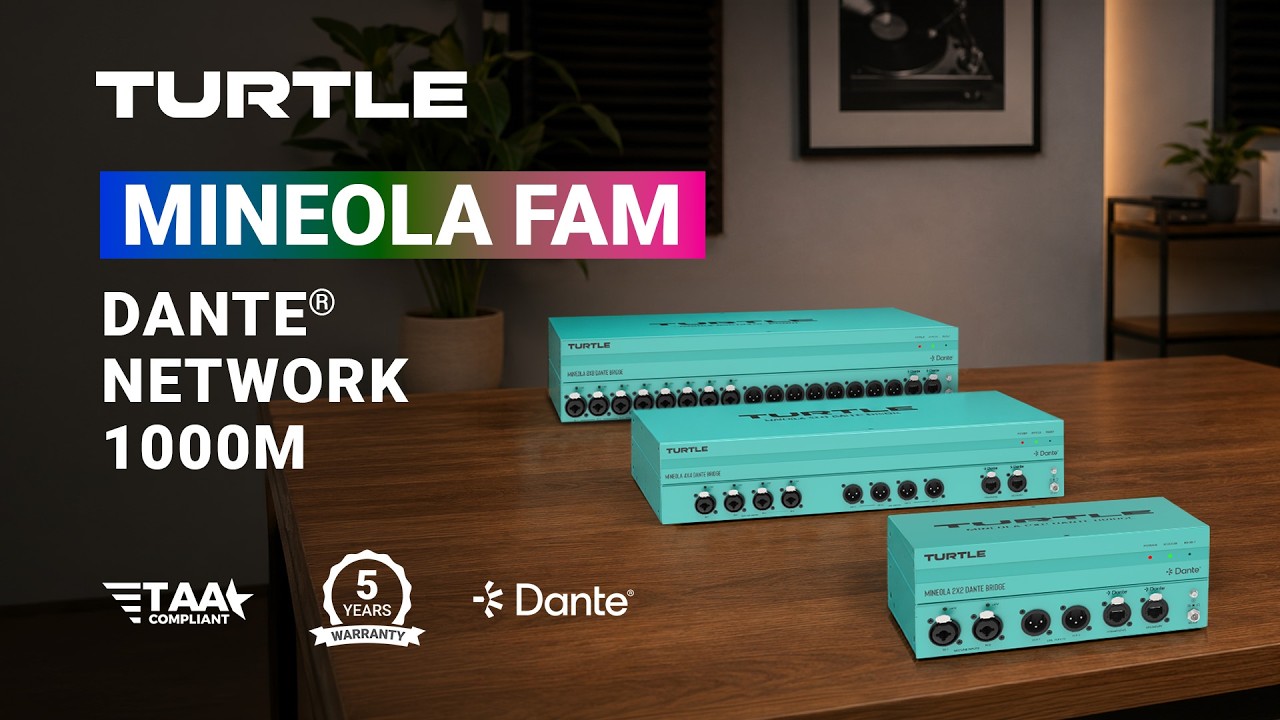 Mineola Dante Audio Bridges | From MICro to 16×16 | Turtle AV