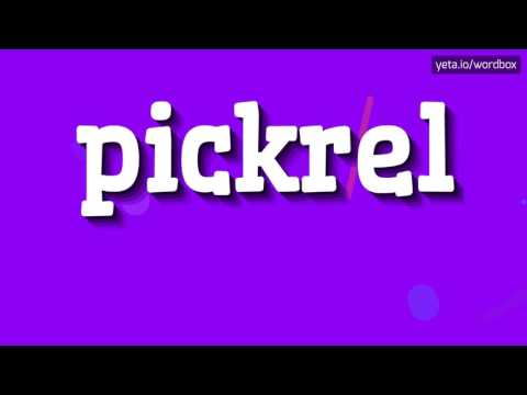PICKREL - HOW TO PRONOUNCE IT!?
