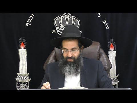 הלכות שבת - רב' - דיני מילה וילוד בהמה 🐄 משנה ברורה סימן שלא שלב שלג | חלק 616 | הרב שי עובד