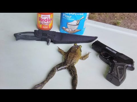 Bull frog catch and cook (delicious)