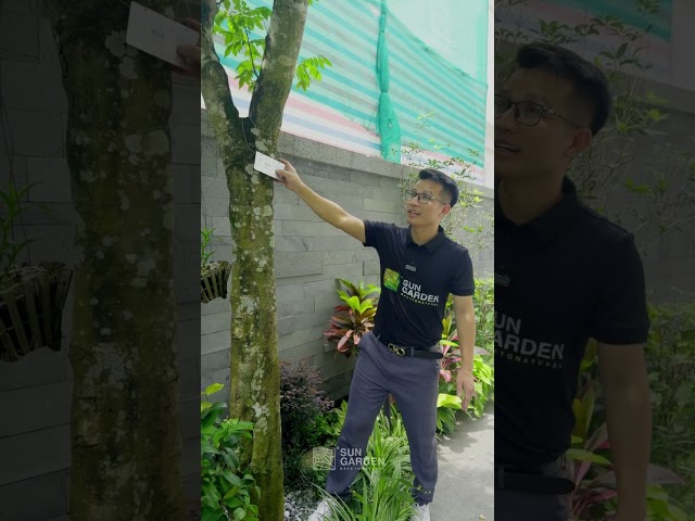 Video 5 Vinhomes Ocean Park