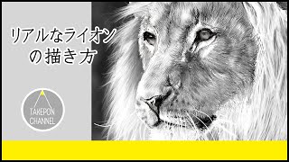 動物の描き方 リアルなライオンのイラストが誰でも簡単に上手くなる方法 Howtodrawlion موقع ويب حيث يمكنك مشاهدة مقاطع فيديو موسيقية مجانية 動物の描き方 リアルなライオンのイラストが誰でも簡単に上手くなる方法 Howtodrawlion موقع ويب حيث يمكنك مشاهدة مقاطع فيديو موسيقية مجانية