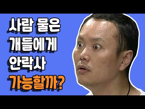 아이콘
