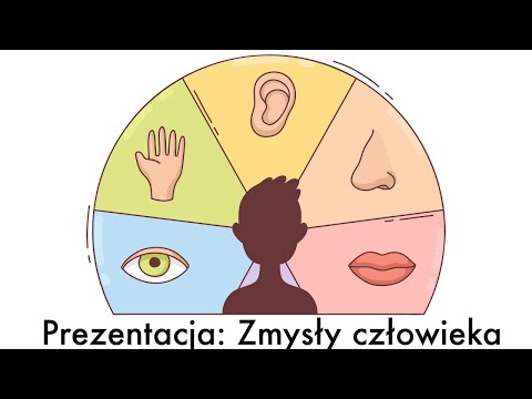 Prezentacja: Zmysły człowieka + ciekawostki dla dzieci, przedszkolaków uczniów. Film edukacyjny