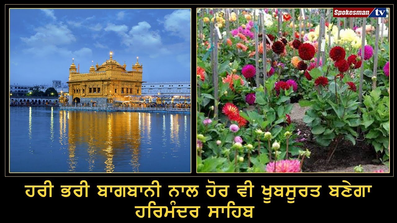 Greenery Will add to the Beauty of Darbar Sahib Greenery Will add to the Beauty of Darbar Sahib