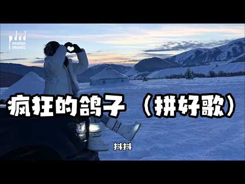 🔥 疯狂的鸽子 (拼好歌)-抖抖 #必听热门歌曲 #新歌更新 #流行音樂 #纯音乐