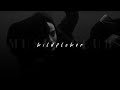 Billie Eilish WILDFLOWER Slowed Reverb