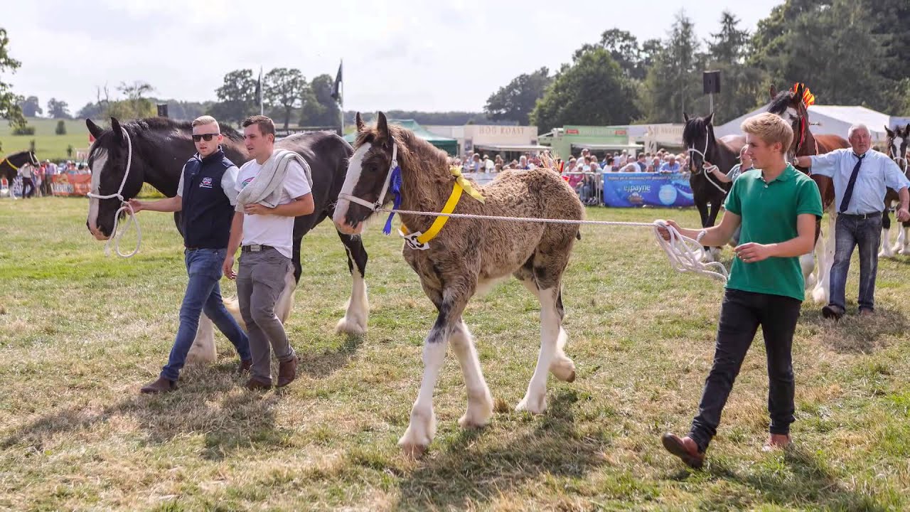 Nantwich Show 2014