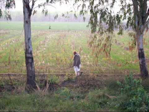 Basheera Choki Bhagat ماہی دے ڈیرے تے پیا بولے کاں