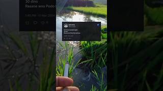 Download lagu Story wa' Luka hati luka diri - Siska amanda#viraltiktok mp3