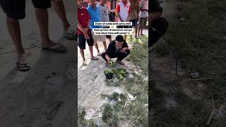 Download lagu Witnessed by Kake Residents, This One Can Turn Leaves into Money #shorts mp3