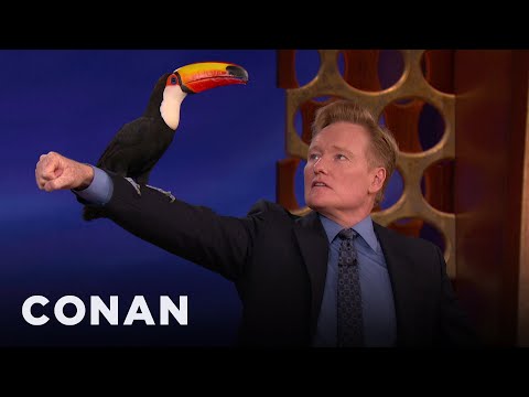 Animal Expert David Mizejewski: Tamandua & Toucan | CONAN on TBS