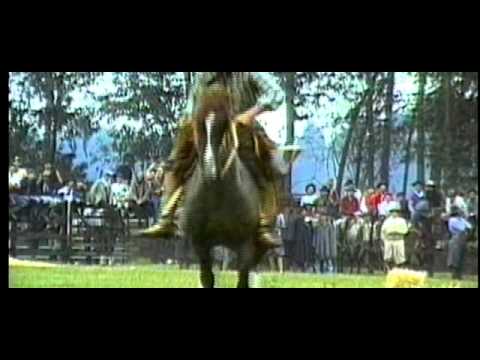 Vídeo Institucional Cabanha Butiá - Passo Fundo