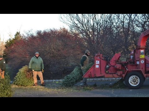 NJ Somerset County’s Annual Christmas Tree Recycling Program