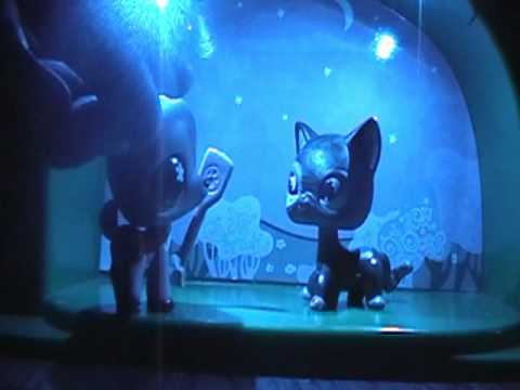 LPS, Cinderella part 2