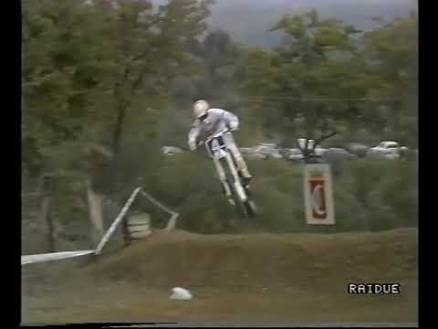 MOTOCROSS  125CC   CAMPIONATO ITALIANO MONTEVARCHI 29 OTTOBRE 1989 , Alex Puzar, Trampas Parker,