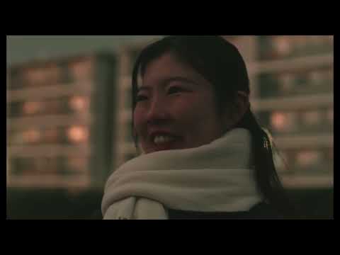 비디오 13