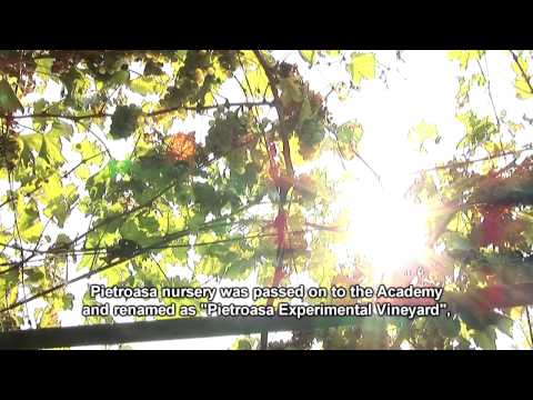 120 de ani de traditie: Istrita si Pietroasa