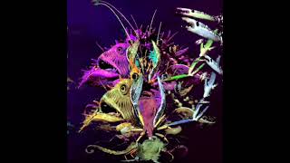 The Golden Eel by Ween (visualization)