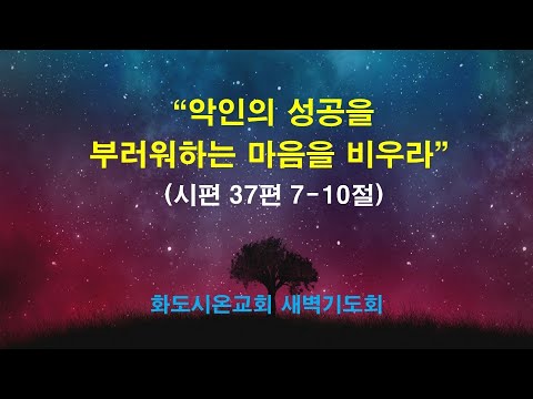 (다윗의 잠언 12) 악인의 성공을 부러워하는 마음을 비우라