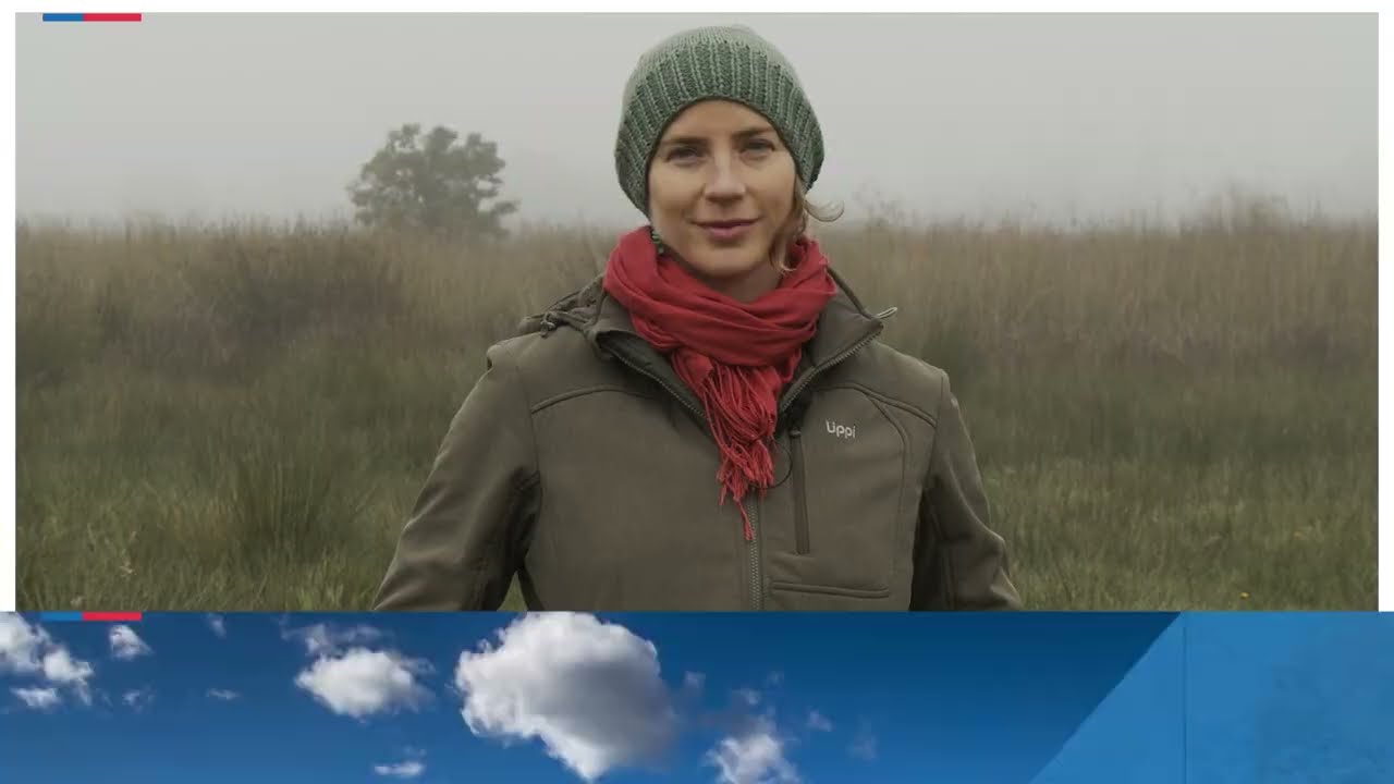 Módulo 1 Video 3 - Trabajo de gabinete