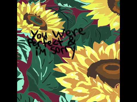MICKEY DARLING // you were perfect & i'm sorry (audio)