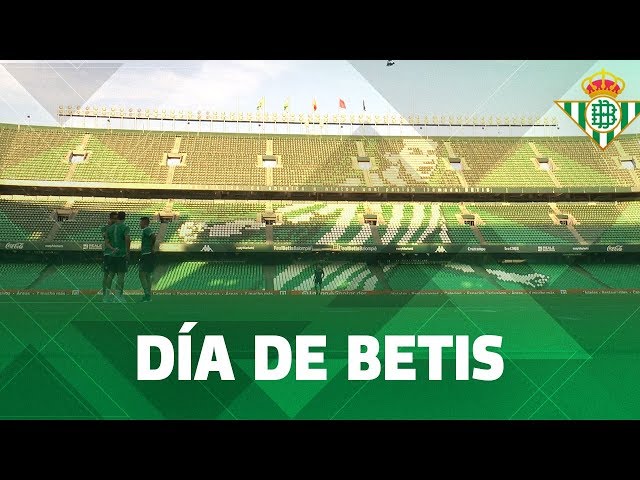 Vídeo relacionado con Real Betis Balompié Bañador Adulto Verde y Blanco con Bolsillos Producto Oficial - L